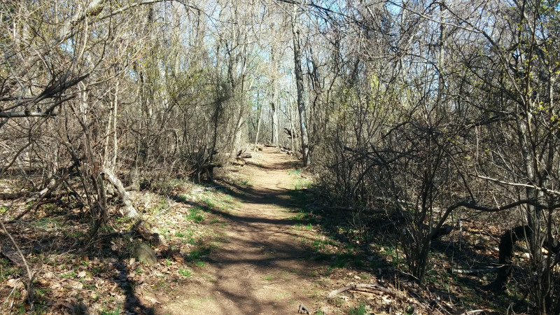 Dickey Ridge Trail