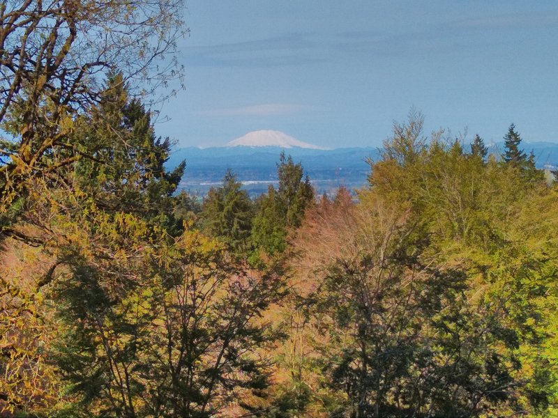 Scenic View of Mount Hood