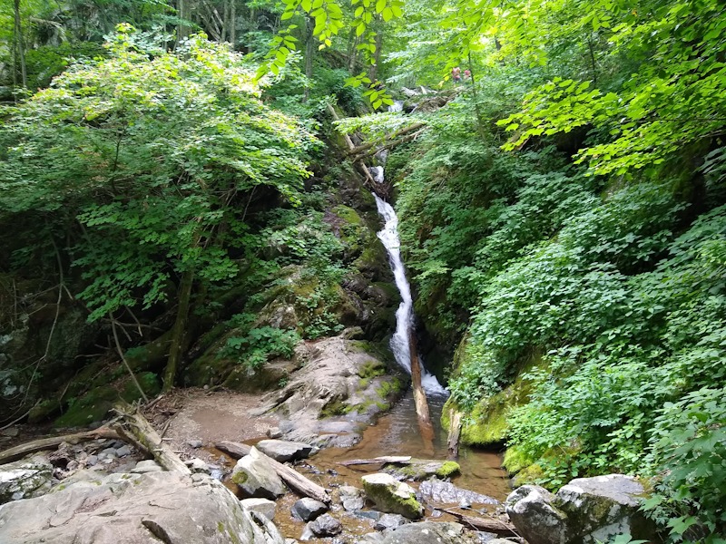 Shenandoah National Park