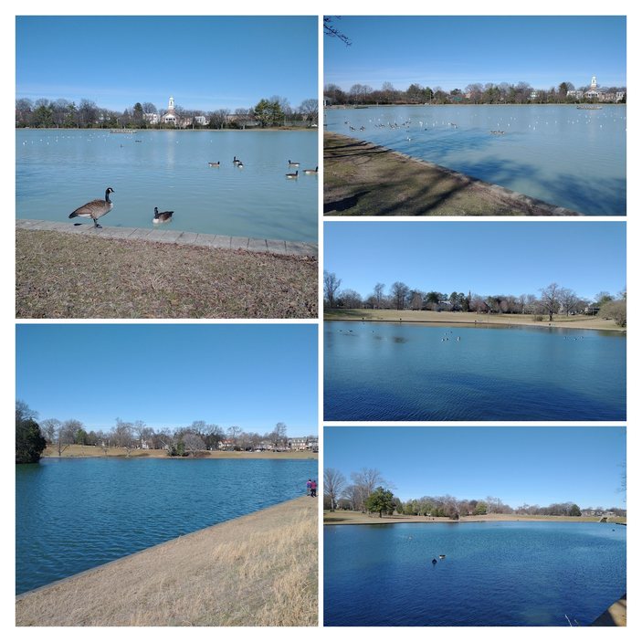 photo collage from Byrd Park, VA