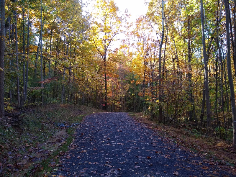 Crabtree Falls