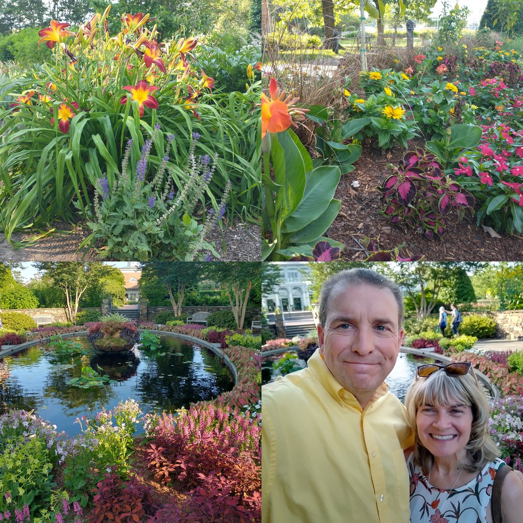 collage of photos from Lewis Ginter