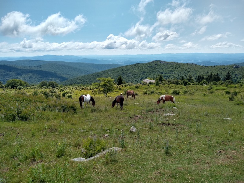 Grayson Highlands State Park