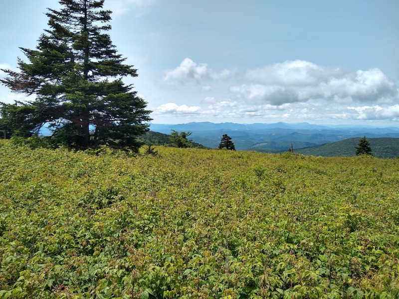 Grayson Highlands State Park