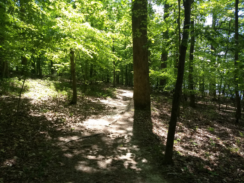 Lake Anna State Park