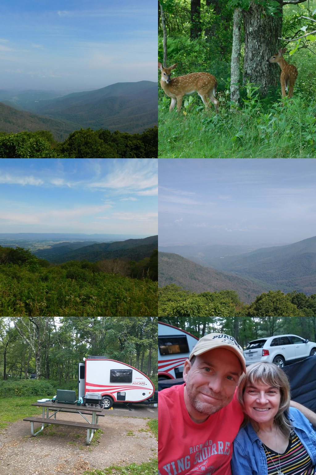 Photo collage from Shenandoah National Park